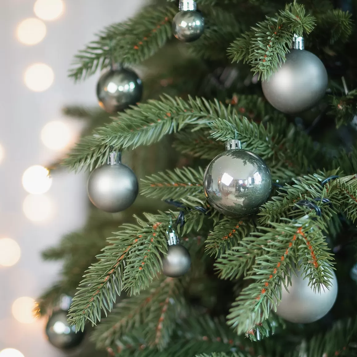 It's all about Christmas Plastic Christmas Baubles | Christmas Bauble Sets-36 Pack Cottage Green Mini Shatterproof Baubles