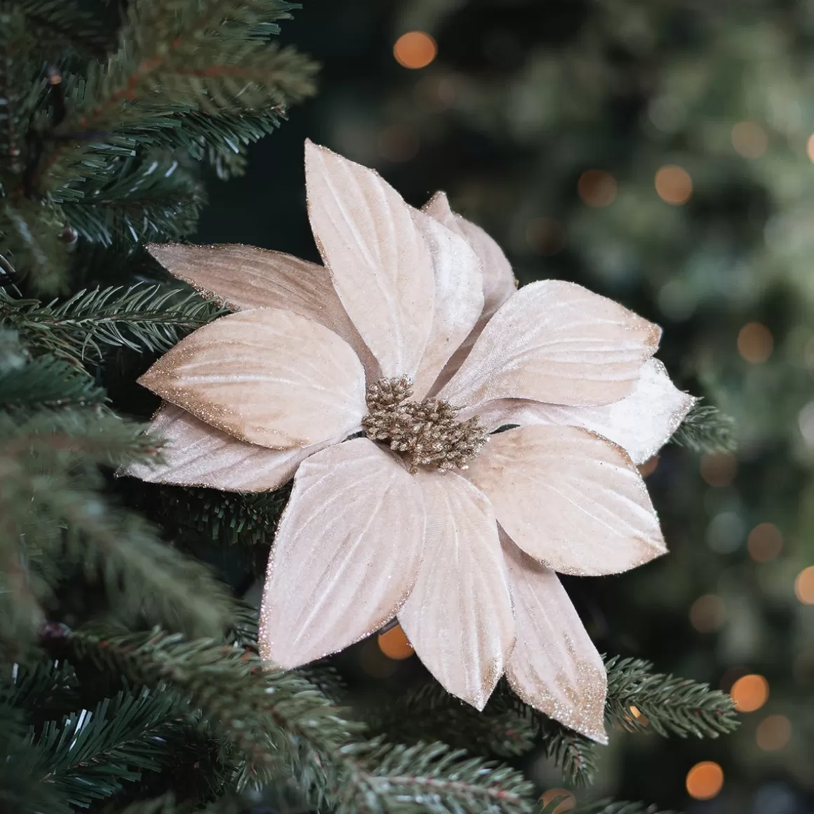 It's all about Christmas Do It Yourself | Flowers For In Your Christmas Tree-Champagne Christmas Rose With Glitter Leaves