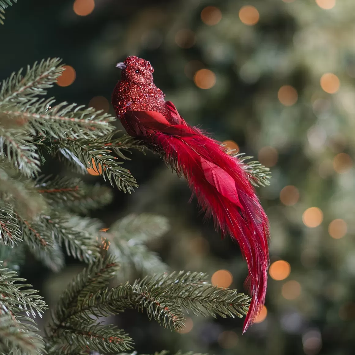 It's all about Christmas Clip On Tree Decorations-Deep Red Bird On A Clip With Long Tail