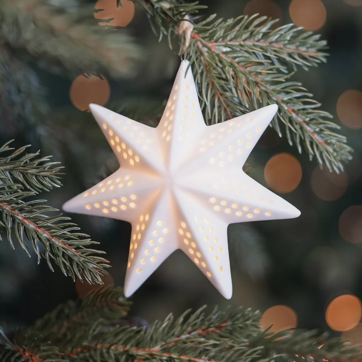 It's all about Christmas Christmas Ornaments-Porcelain Christmas Star With Warm White LED Light